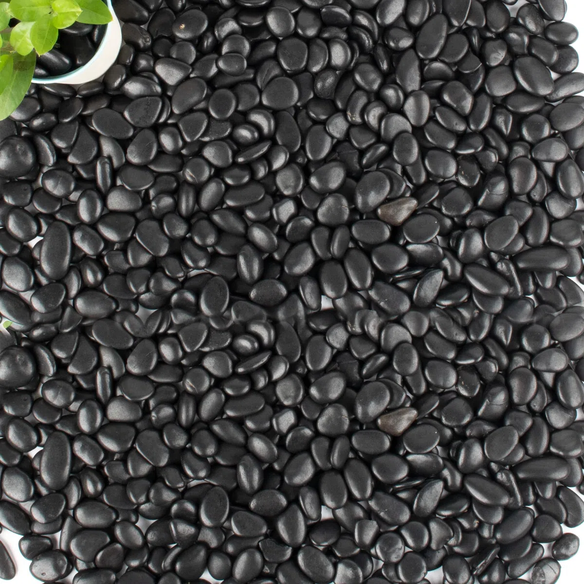 Piedras negras de 45 libras para plantas, macetas, suculentas, acuarios, peceras, jarrones decorativos para jardín, piedras de grava pulidas