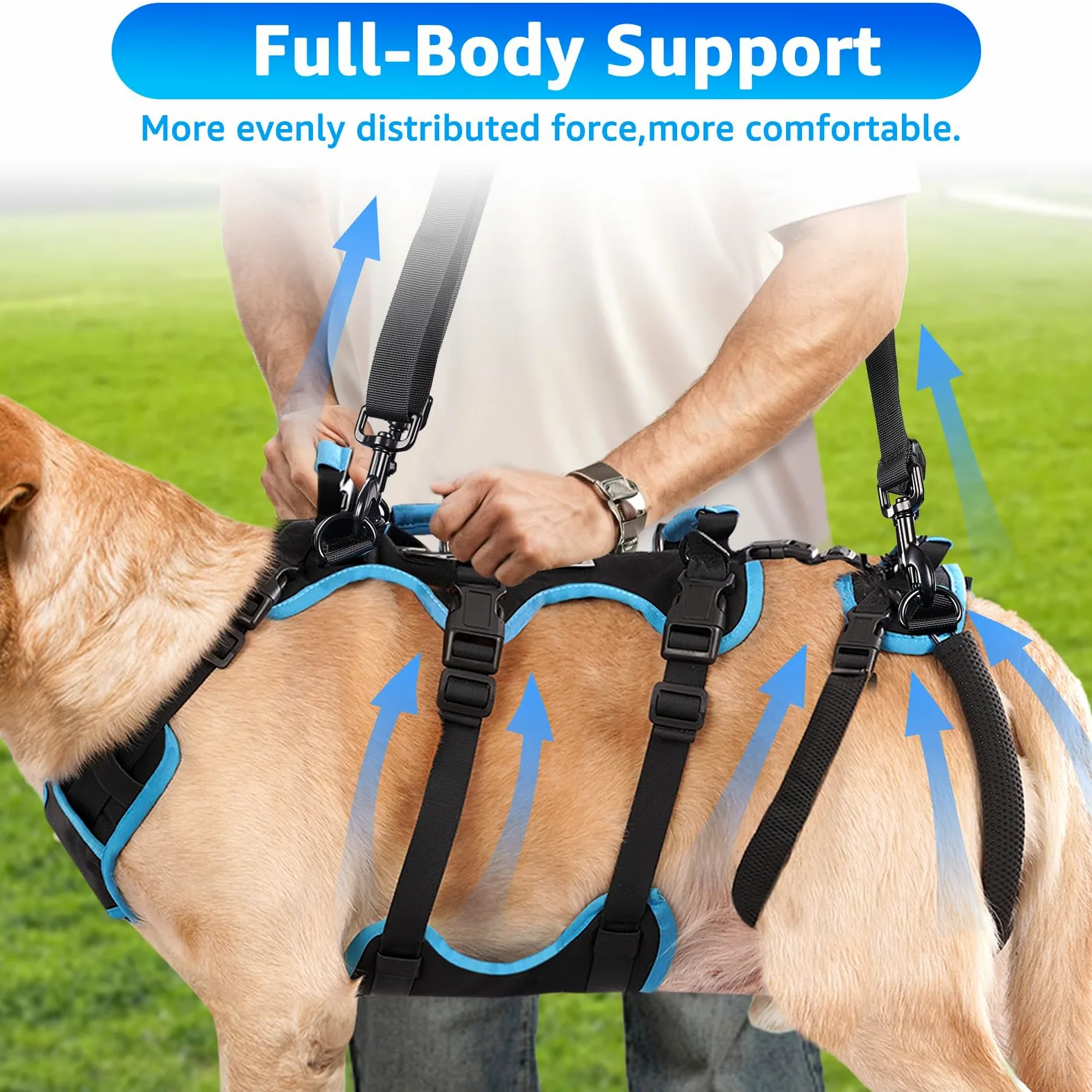 Arnés de Levantamiento para Perros Machos Grandes – Arnés 2 en 1 de Ayuda para Levantar, Apoyo para Las Patas Traseras y Asistencia en Movilidad para Perros Mayores(Negro, Grande)