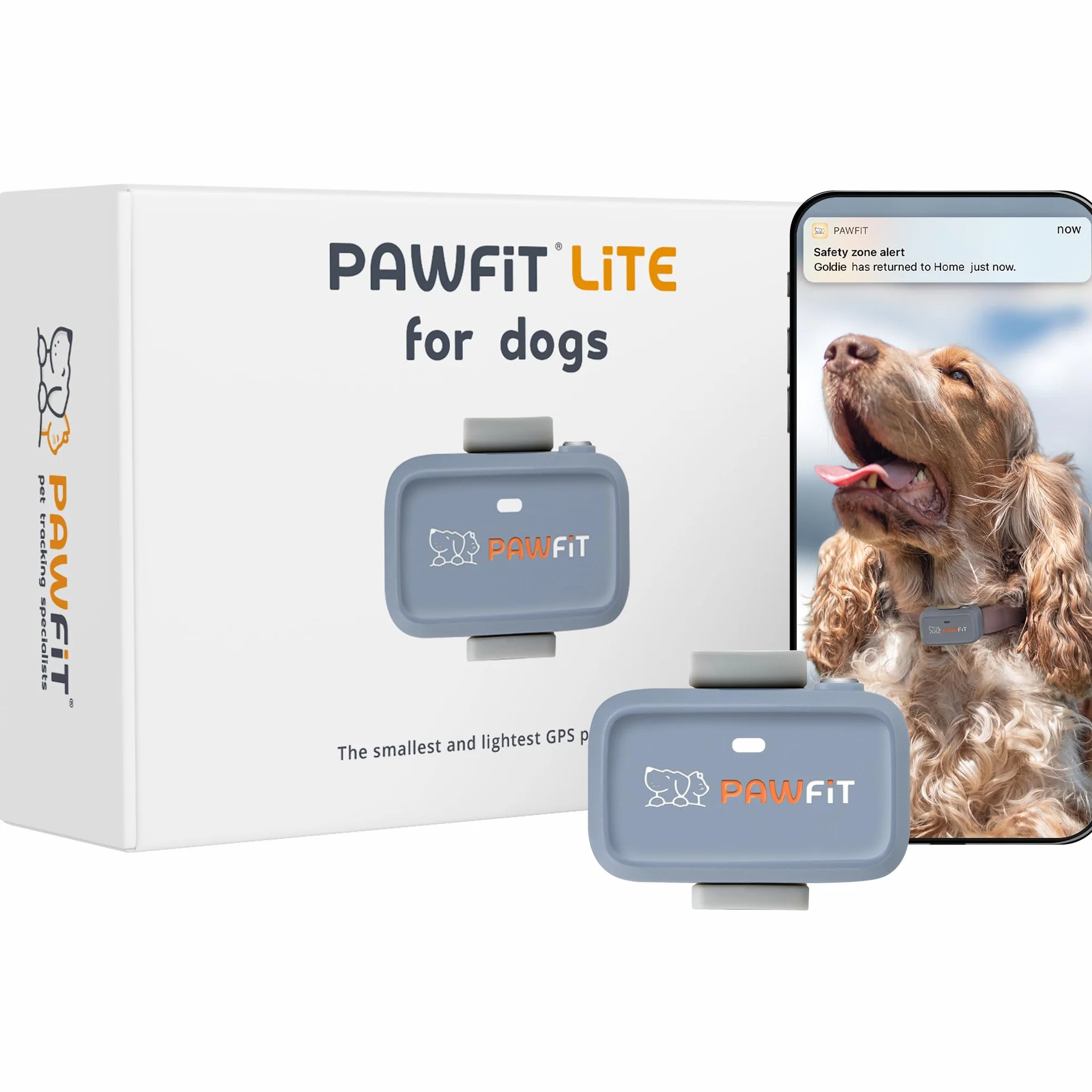 Pawfit Rastreador GPS Lite for Dogs 4g | Monitoreo en tiempo real | Seguimiento de actividad | Historial de ubicaciones | Rango ilimitado | Collar de seguridad incluido|Onyx negro