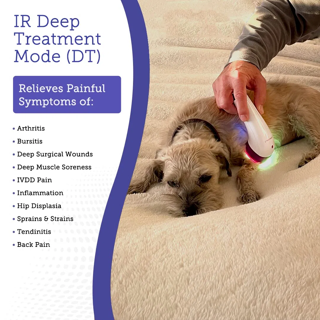 LumaSoothe 2-Light Therapy para Perros y Mascotas, Terapia de luz LED para aliviar el Dolor Muscular, el Dolor Articular, Reducir la inflamación, Curar heridas, Limpiar la Piel 2 Modos terapéuticos