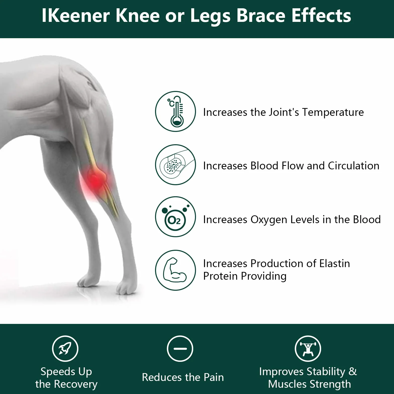 iKeener Dispositivo Terapia Mascotas/Veterinarios,Terapia Láser Aliviar Dolor Articulaciones Musculares,Portátil Terapia Luz Roja,Longitud Onda 650nm,808nm,para Perros,Gatos,Caballos Otros (Blanco)