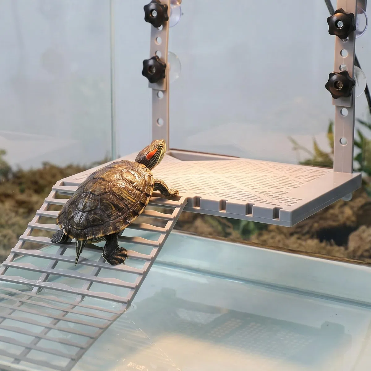 Kisangel Plataforma Flotante para Que Las Tortugas tomen el Sol con rampa para acuarios, Plataforma de plástico para Reptiles con Ganchos para Accesorios de terrarios de Tortugas