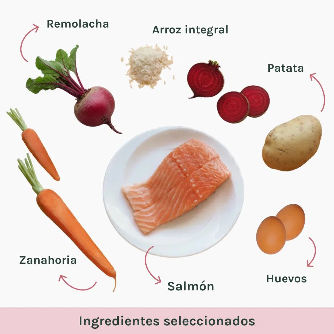 Caty’s Pienso Natural para Gatos Esterilizados 12 Kg - Comida Seca de Salmon – Comida Hipoalergenico de Alta Digestion - Sin Maíz ni Soja - Producto Nacional 100%