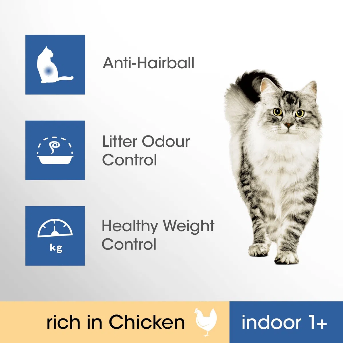 Perfect Fit Indoor 1+ – Alimento seco para gatos adultos a partir de 1 año – Pollo – Apoya la vitalidad – 7 kg
