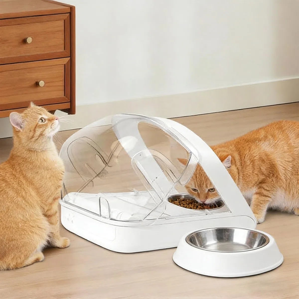 Parte trasera transparente fuerte para dispensadores de mascotas que evita el acceso no deseado a los alimentos durante el tiempo de alimentación, accesorio de alimentador automático