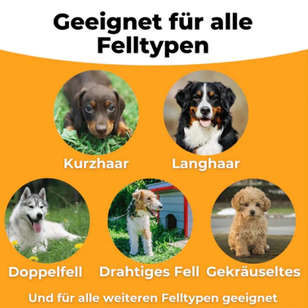 Para Groomify Pet Care Brush, Para Groomify Mr Waggy Tails Brush, Cepillo Deshedding para Perros y Gatos, Cepillo para Eliminar Pelo, Peine para Mascotas, Herramienta de Grooming para Mascotas