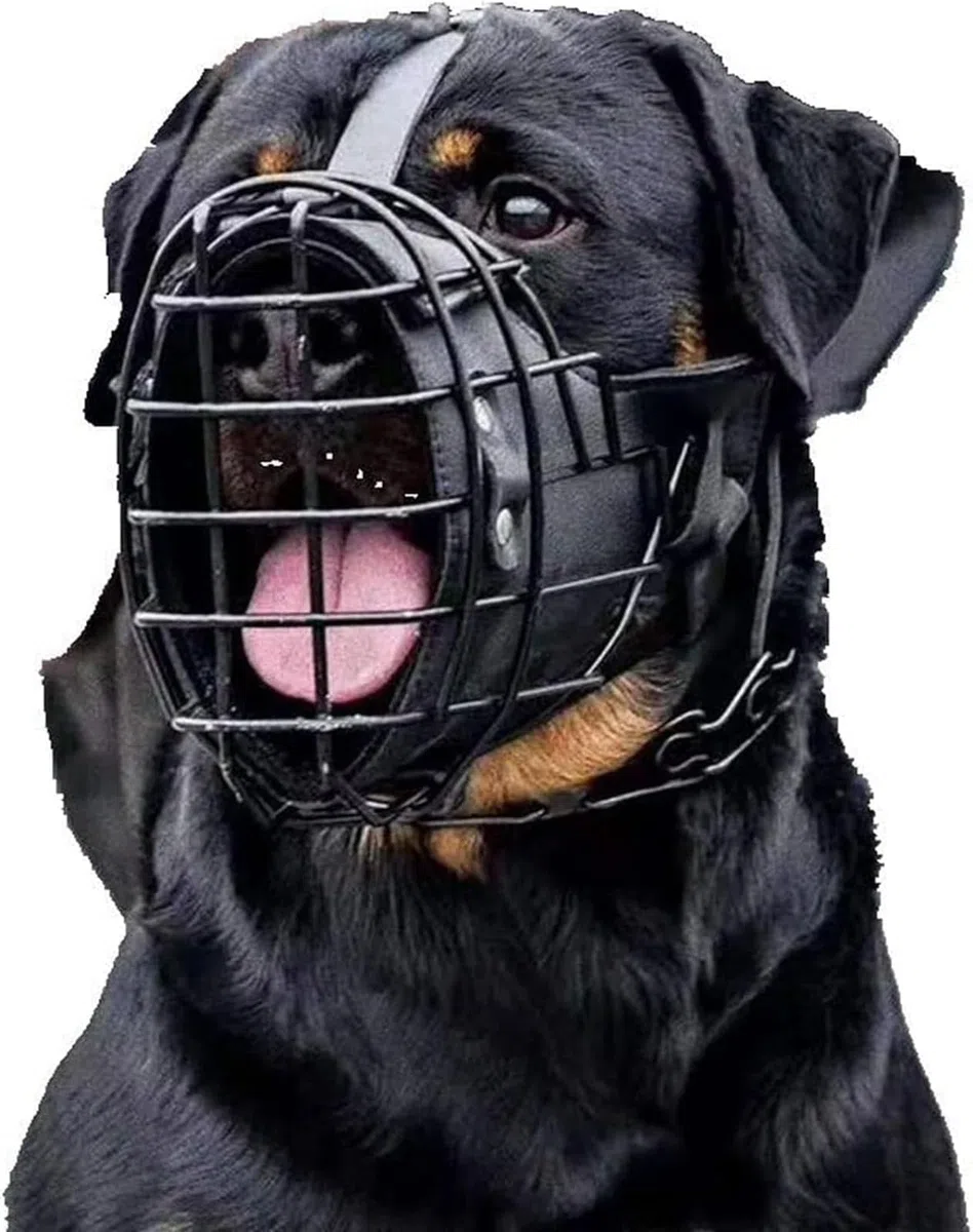 Bozal para Perros, Bozal Ajustable de Metal y Cuero for Pastor alemán, dóberman, Rottweiler Otros medianos Grandes(M)