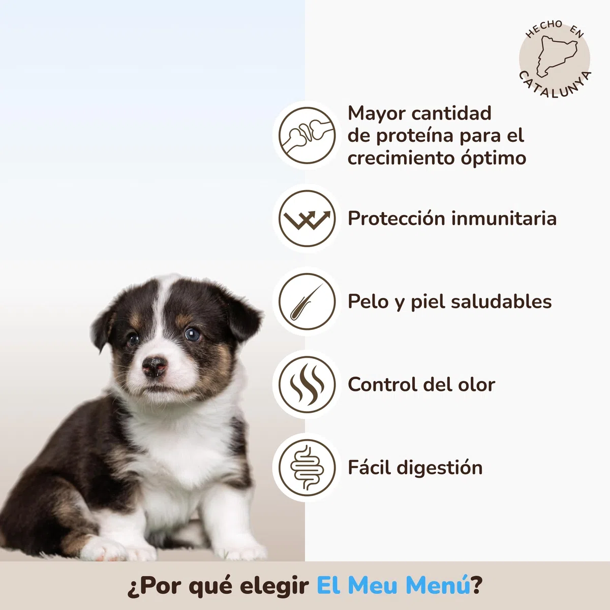 GALITO Pienso Cachorro Pollo y Salmón con Arroz 12 kg
