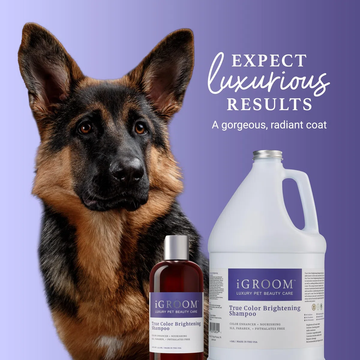 iGroom True Color - Champú para perros, cuidado de belleza de mascotas de lujo, mejora el color natural del pelaje, queratina + proteínas vegetales que añaden humedad, fabricado en Estados Unidos, 3.8