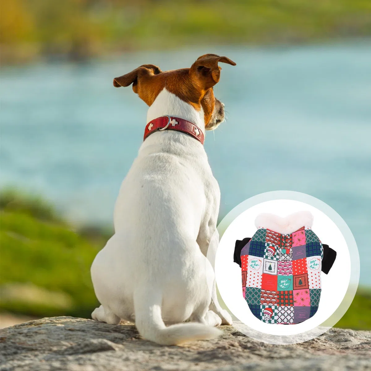 FRCOLOR 3 Piezas Ropa Navideña para Perros Abrigo de Invierno Cálido XS