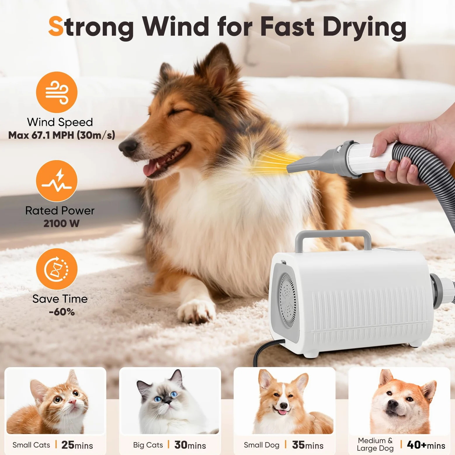 Secador Perro, Potente Secador para Perros con Velocidad y Temperatura Ajustables, 3 Boquillas, Manguera Flexible, Pantalla LCD, Secador Pelo para Perros y Gatos de Todos los Tamaños.