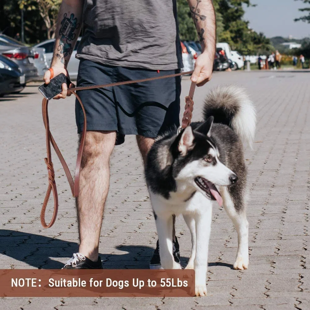 Correa de Cuero Suave para Entrenamiento y Paseo de Perros con Clip de Seguridad (2.5 * 150CM)