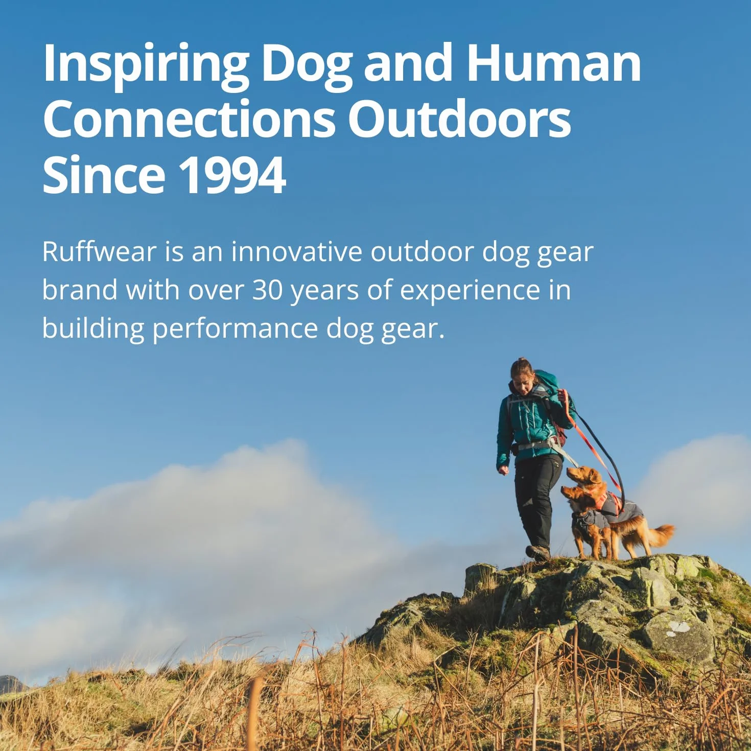 RUFFWEAR Palisades - Poncho de dormir, saco de dormir para perro, abrigo para perro grande/XL, chaqueta ligera para mascotas para acampar e invierno, grosella roja, talla L/XL