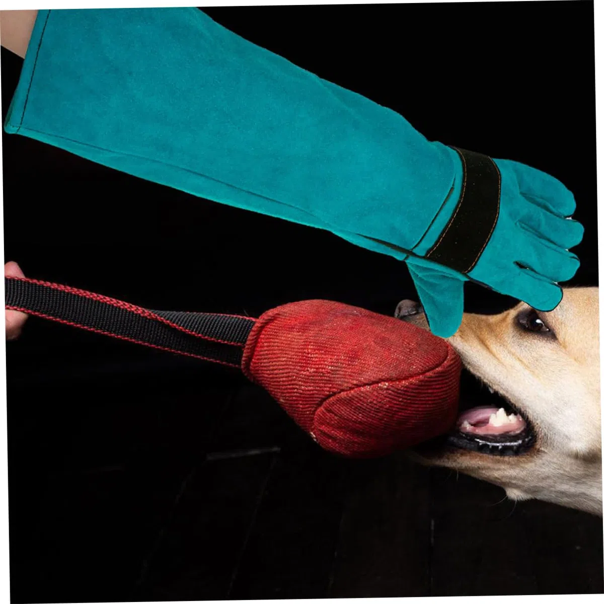 Toddmomy Guantes para Manipulación de Mascotas Diseño Multifuncional