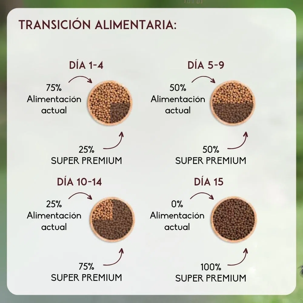 NUTRIVET - Super Premium - Senior - Croquetas sin Trigo - Perro - Rico en proteína Animal - 15 kg