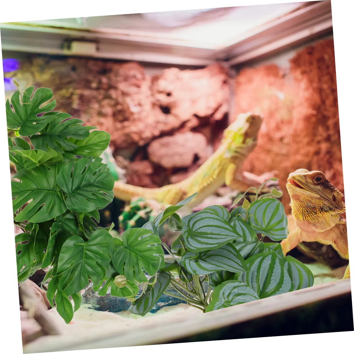 DOITOOL 4piezas Artificiales De Succión para Reptiles Decoraciones Naturales para Terrarios y Acuarios Simulación De Lifelike