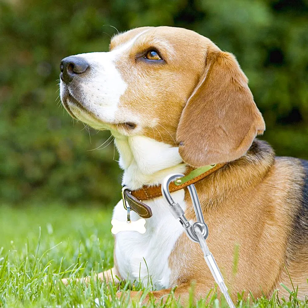 Tresbro Sistema de Trineo Con Correa Para Cable Para Atar a Los Perros, Cadena de Corredor de Amarre de 50 Pies / 15 Metros para Perros de Hasta 250 Libras