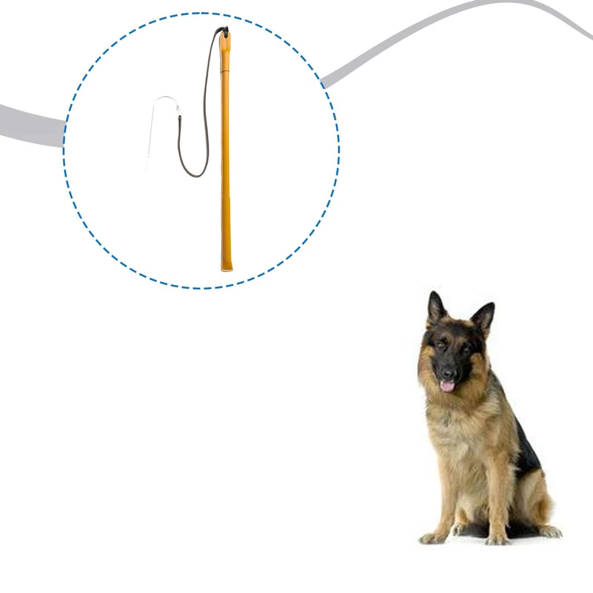 Harilla Látigo de adiestramiento canino para Entrenamiento de obediencia. Herramienta de Entrenamiento de Resistencia y Comportamiento. Varilla de disciplina