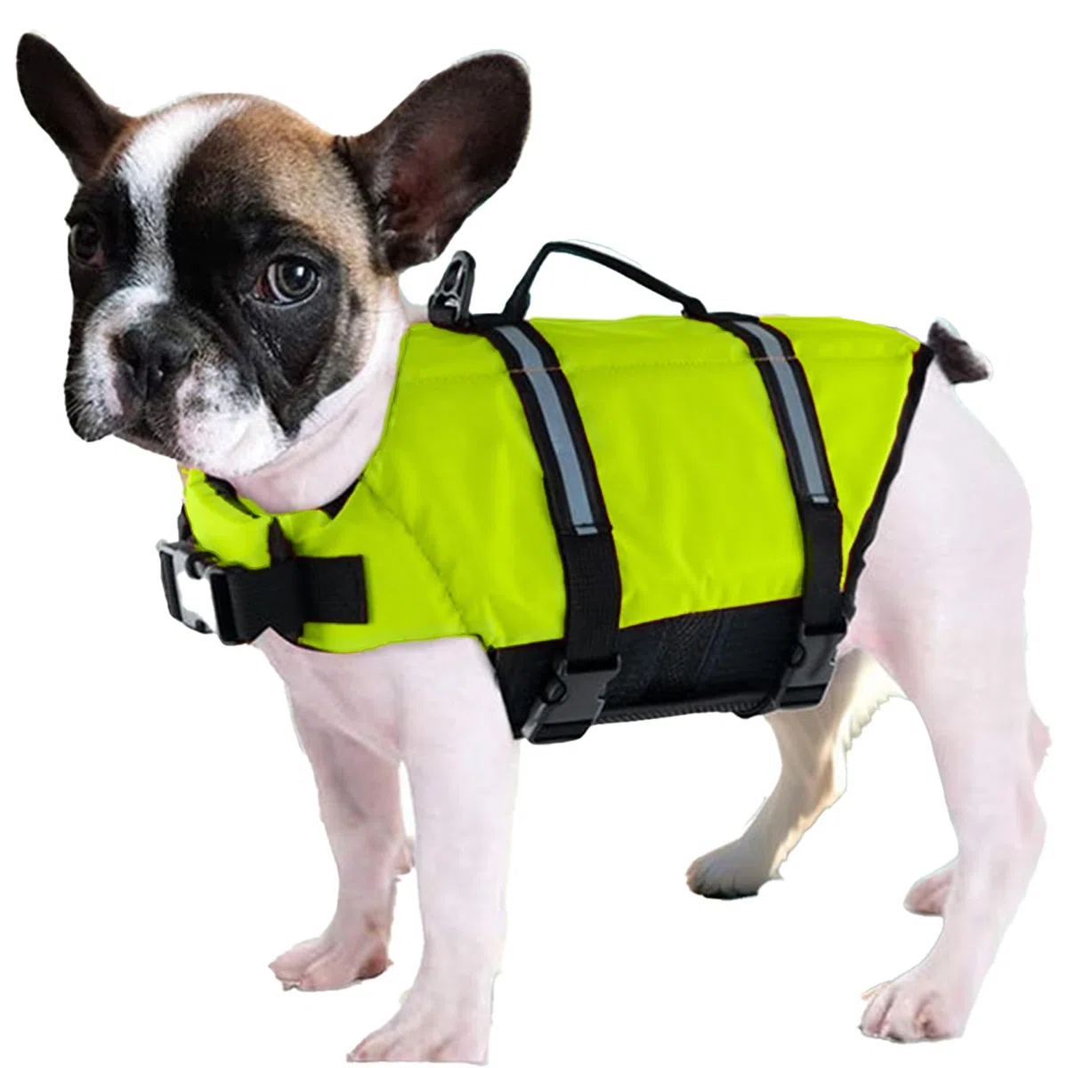 Chalecos salvavidas para perros para nadar con asas de rescate ajustables
