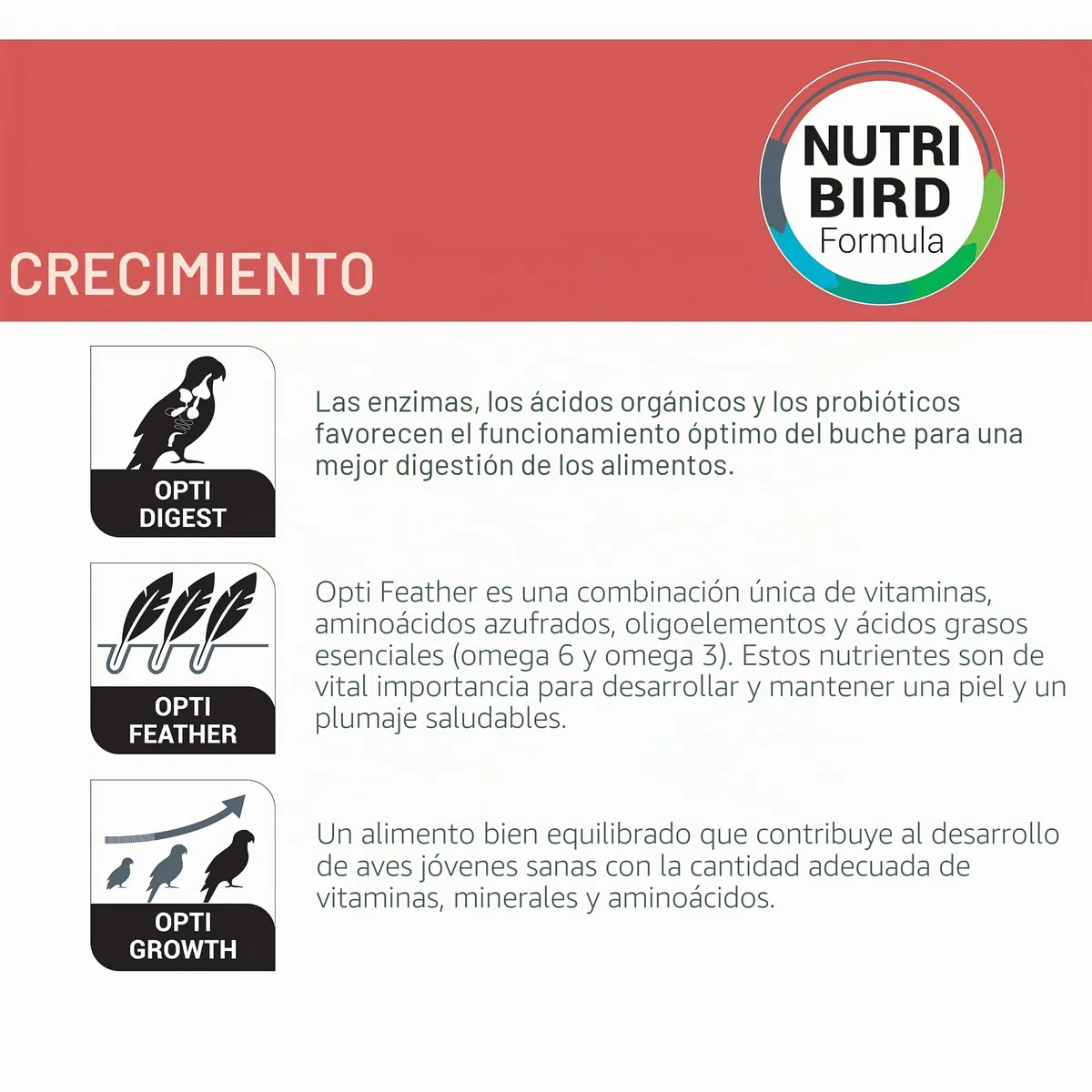 Versele-Laga NutriBird A21 | Paquete Doble | 2 x 800 g | Alimento para la cría a Mano de Aves con Mayor Necesidad de proteínas | para apoyar un Desarrollo óptimo de los pichones sanos