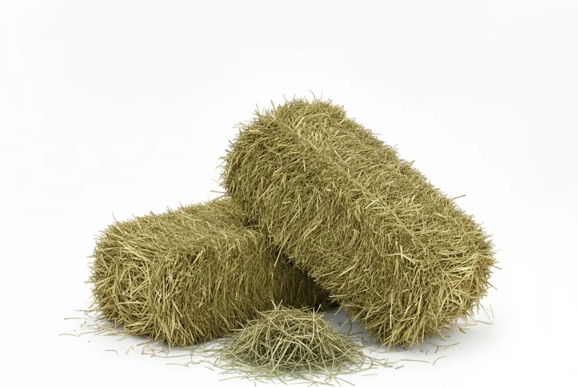 Heno natural para caballos, ovinos, caprinos y ganado 15 kg | Bala de heno italiano de prado de montaña orgánico | Alimento para todos los roedores, conejos y ganado | Alta calidad