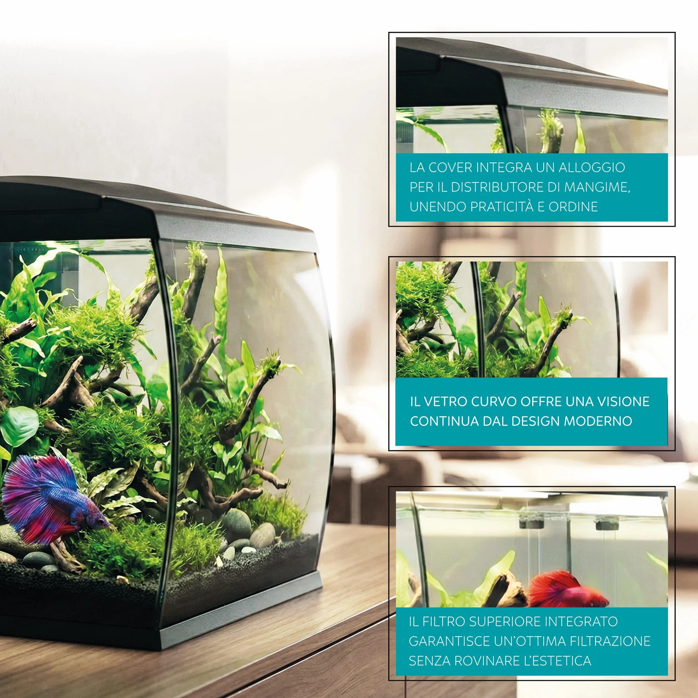 AQPET Acuario Curvo de Cristal Curvado 35 l con Filtro Superior Integrado y LED 6 W – Acuario de diseño de Escritorio con Bomba incluida y Tapa para dispensador automático de Alimentos (Negro)