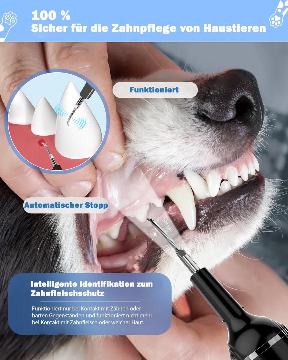 Stim-U-Dent Kit de limpieza dental ultrasónica para perro, limpiador dental para mascotas, para eliminar sarro y placa, con luz LED, cepillo de dientes para perros