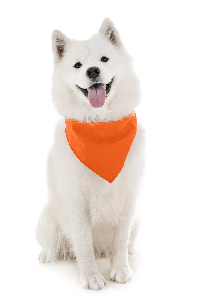 Bandana Pañuelo Triángulo Baberos para Cachorros, Perros y Gatos - naranja - Ajustes De Un Talla Más