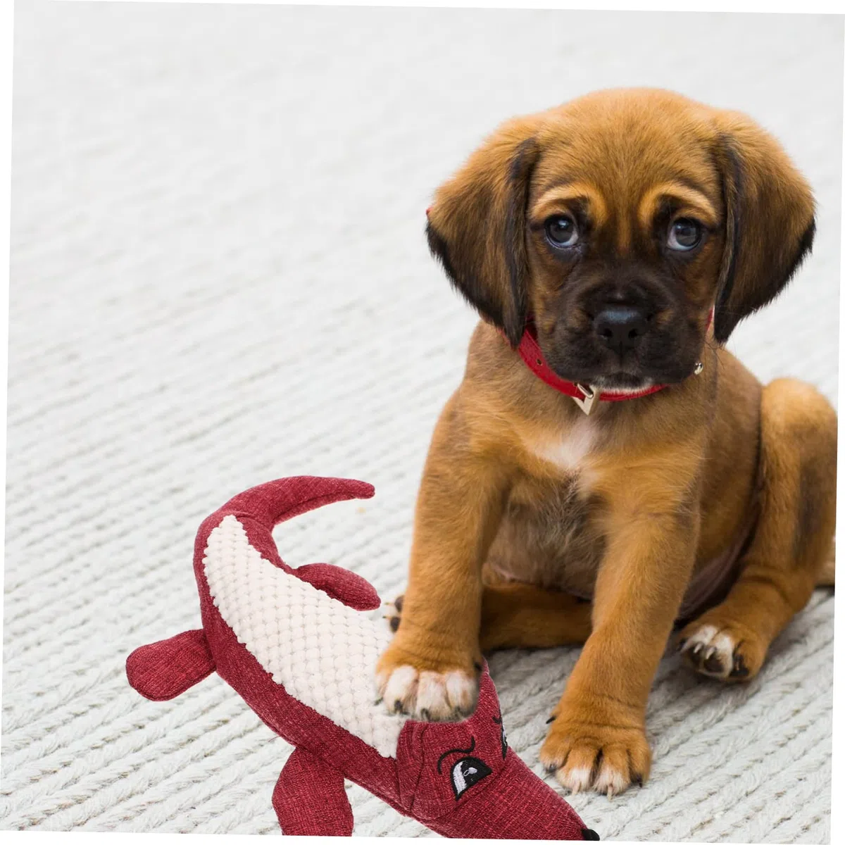 minkissy 5 piezas de juguete de peluche para perros juguetes chirriantes para mascotas juguete de peluche para masticar para mascotas juguete de muñeca juguete de peluche para masticar juguetes de