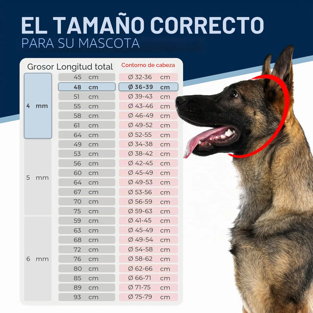 Cadena para Perro de Acero Inoxidable con mosquetón Fijo – Eslabones Largos – 4 mm x 48 cm