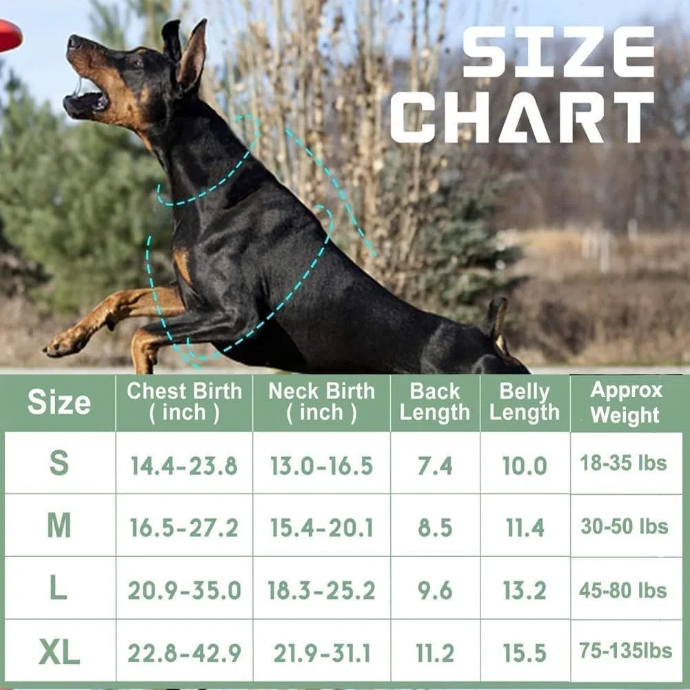 BUMBIN Arnés táctico para perros pequeños, sin tirones, famoso en TikTok, arnés inteligente reflectante para adiestramiento y paseo, arnés ajustable tipo chaleco con asa, azul vaquero, talla XL