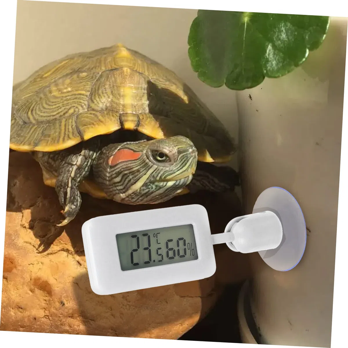 4 Termómetros Para Terrarios, Accesorios Para Reptiles, Accesorios Para Tanques De Reptiles, Medidor De Temperatura Para Terrarios, Higrómetros Para Terrarios.