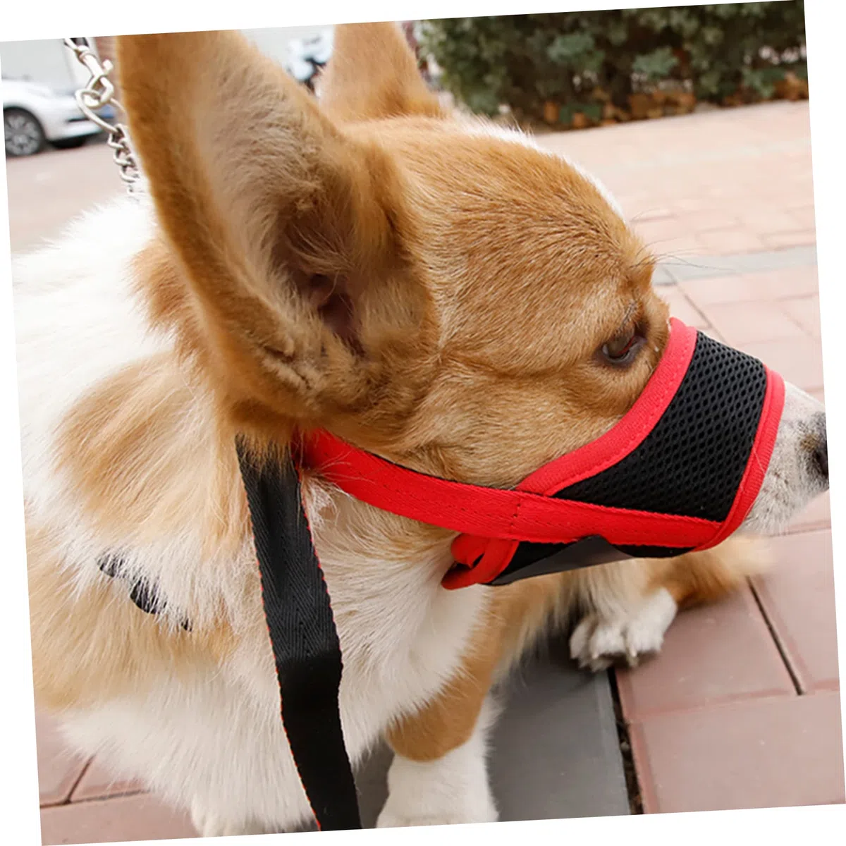 FRCOLOR 3 bozales Suaves para Perros pequeños, bozal para Perros de Seguridad, Divertido bozal antimordeduras para Perros, Cesta para Exteriores, Ajustable, Nailon, Rojo, antimordeduras