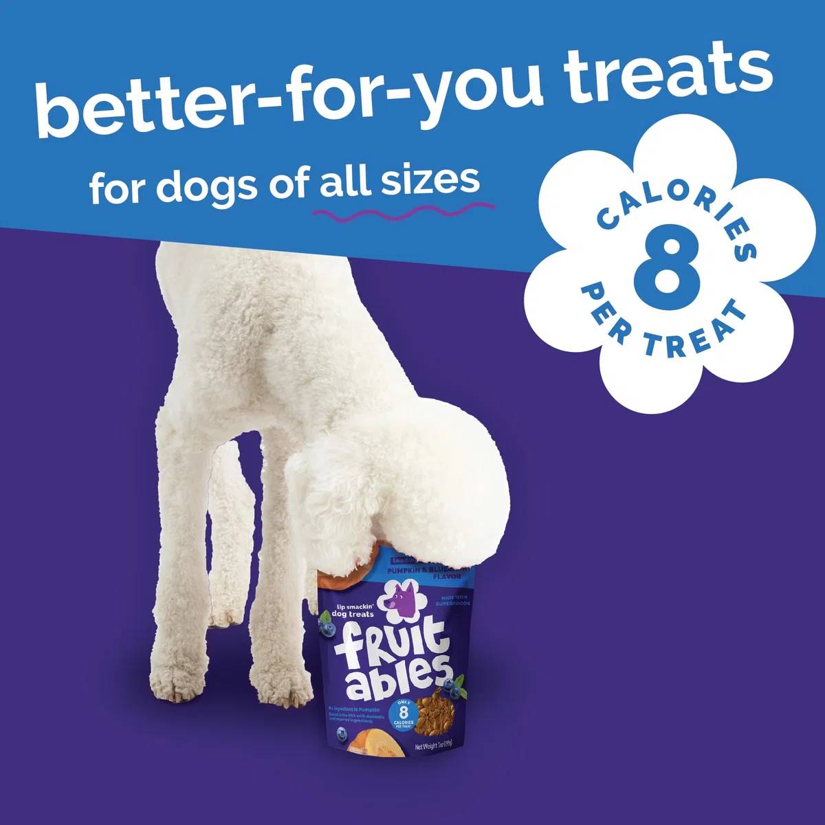 Fruitables Golosinas horneadas para perros, Golosinas de calabaza para perros, saludables bajas en calorías, sin trigo, maíz ni soja - Calabaza y arándano 198g