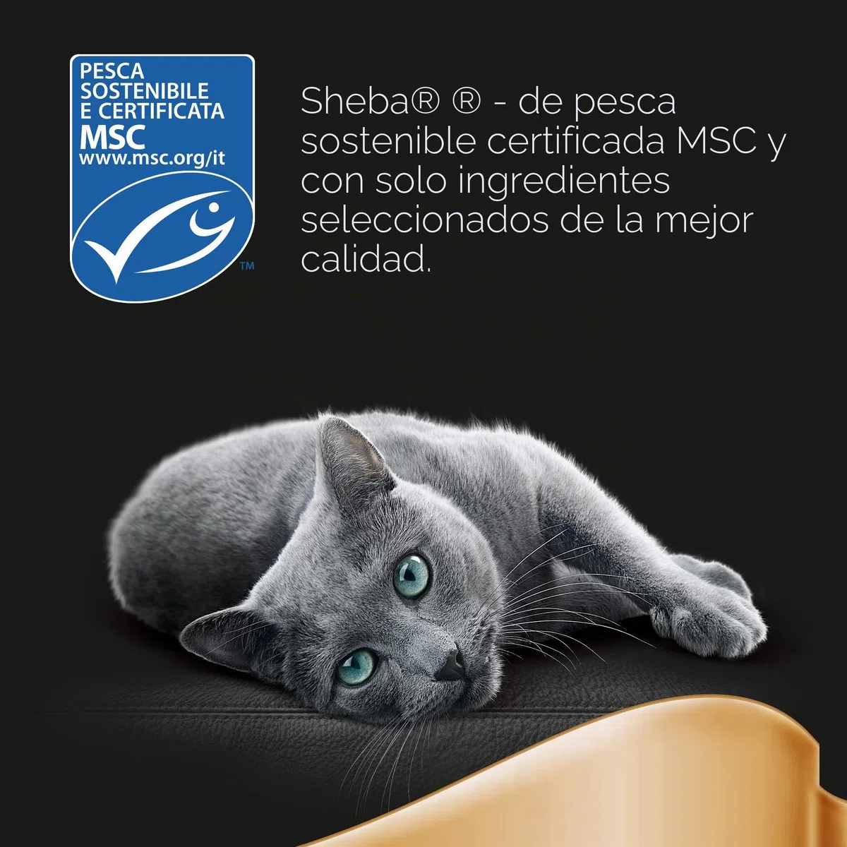 Sheba Saba Gato Forro Selection en Salsa/Forro húmedo sin Color Artificiales conservantes
