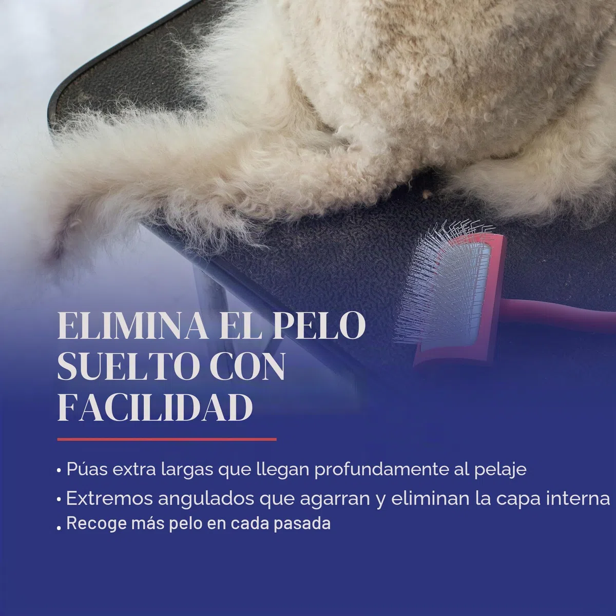 Chris Christensen Big G - Cepillo Profesional de Aseo para Perros, Cepillo para desenredar Pelusas, Ahorra Tiempo y energía, Coral, Mediano