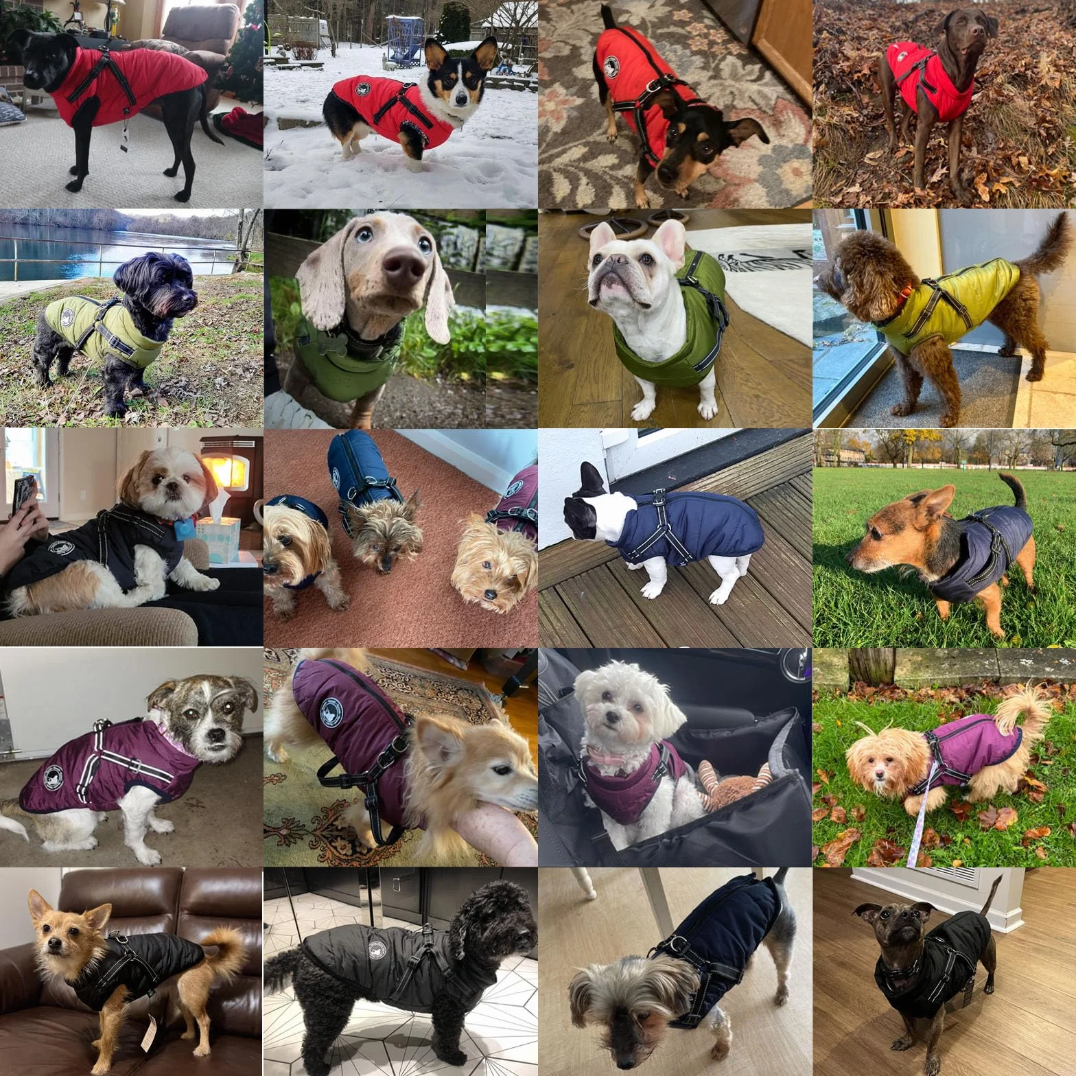 Gyuzh Abrigo para perro con arnés para cachorros, chaqueta impermeable de invierno para perros pequeños, medianos y grandes