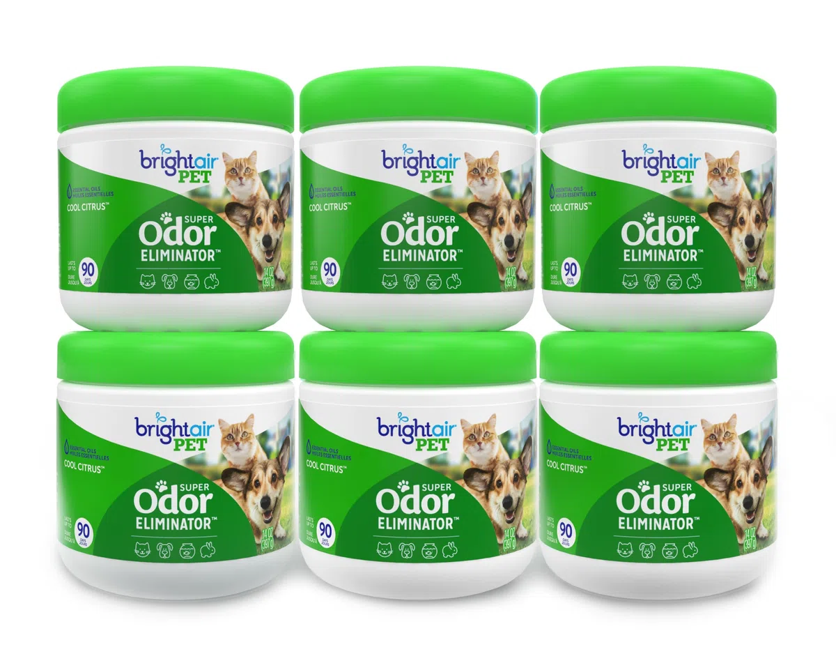 Bright Air Eliminador de olores para Mascotas, Aroma cítrico frío 14 oz (Paquete de 3)