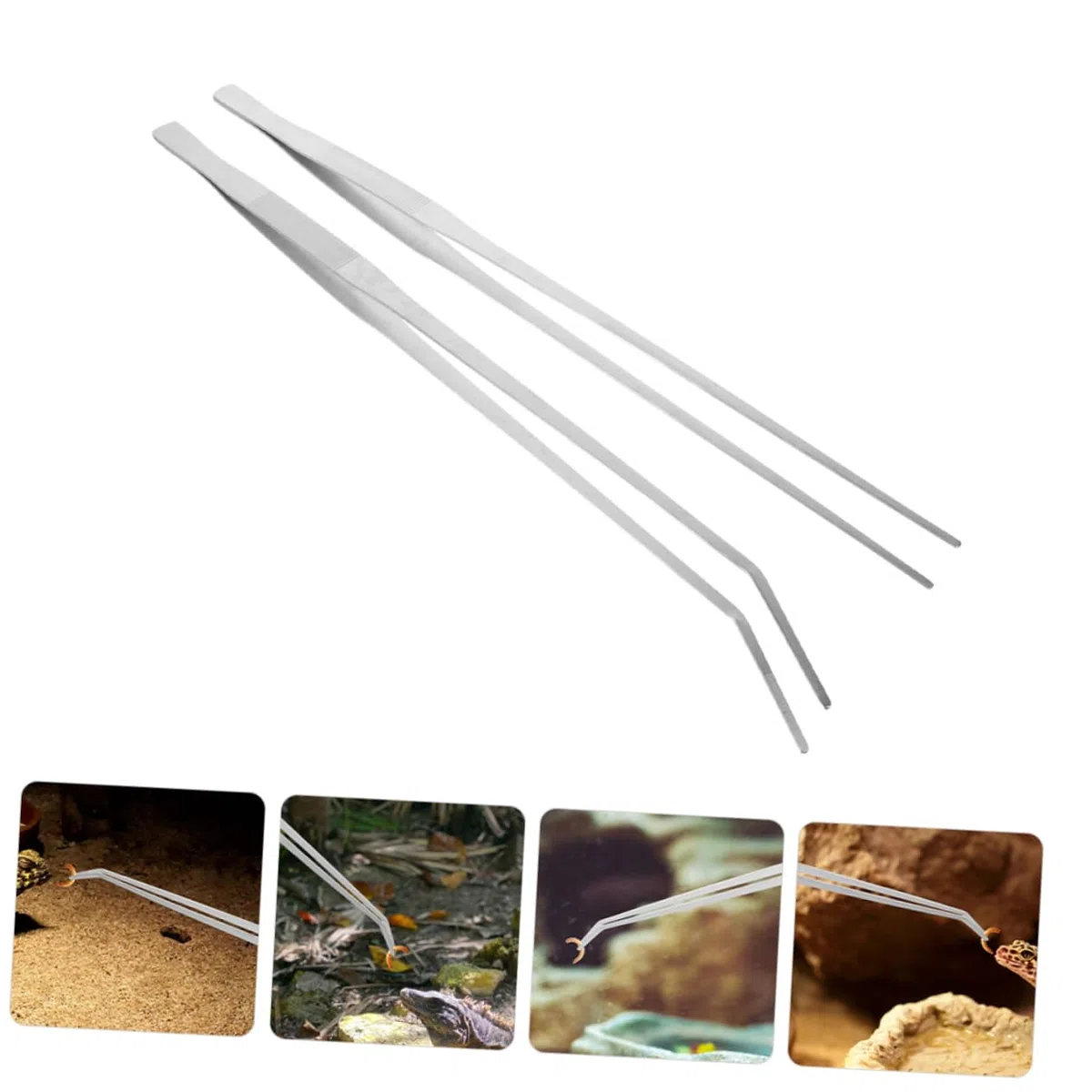 BESPORTBLE 10piezas De Alimentación para Reptiles De Metal Extra Largas Herramienta Práctica para Acuarios y Terrarios para Suministrar Comida Reptiles y Peces