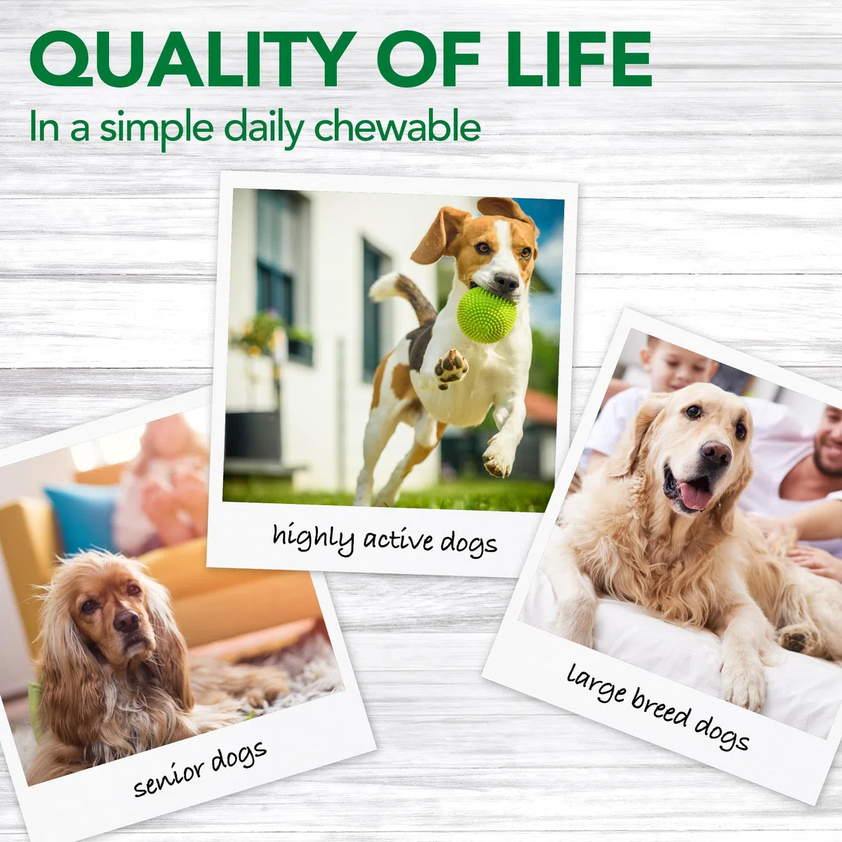 Vet's Best - Suplemento para aliviar el Dolor de Perros, fórmula Natural, sin aspirina