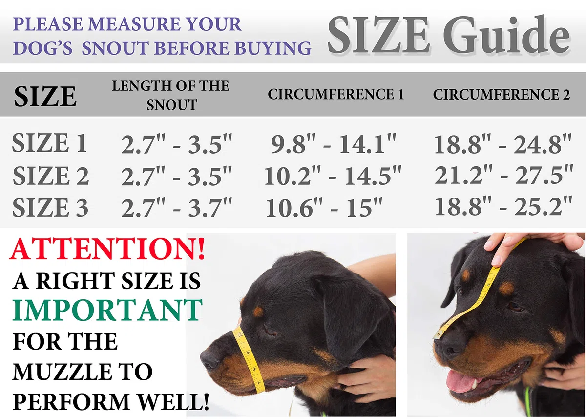 Bozales de Metal para Perro Rottweiler (№2) - Cesta de Alambre Correas de Cuero Ajustables de Cuero - La Circunferencia del hocico es de 26-36,8 cm de Longitud es de 6,8-8,9 cm