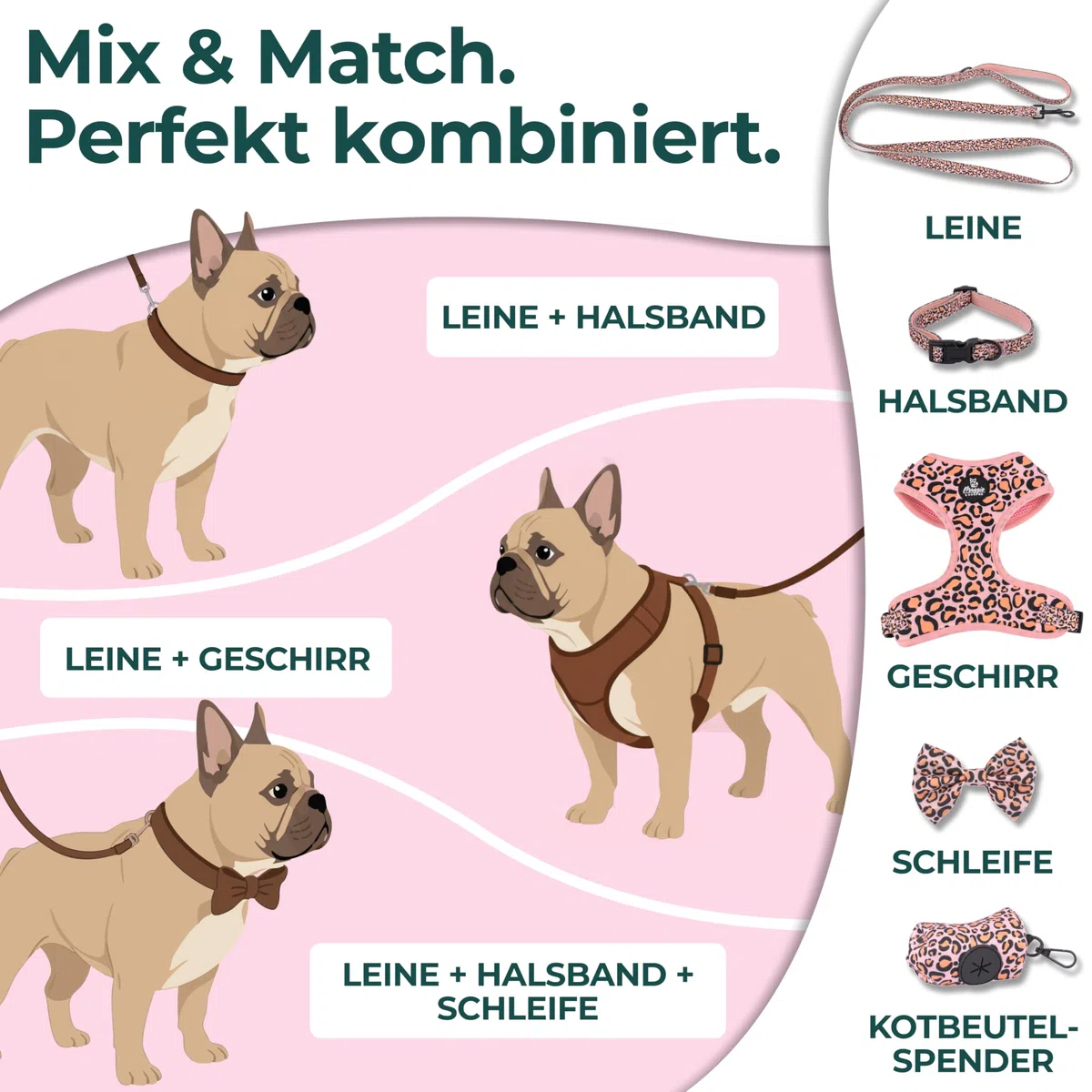 MAGGIE & COOPER Juego de correas para perros – Diseño Leo – 5 piezas: collar, arnés, correa, lazo, dispensador de bolsas de excrementos – 4 tamaños – Caja de regalo (M)