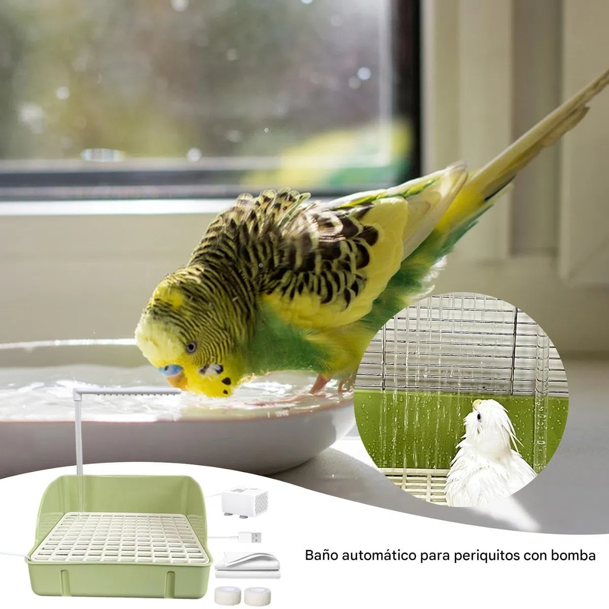 Genérico Bañera para Loros,Fuente de Ducha Circulante para Aves con Bomba | Contenedor Espacioso para Baño De Loros, Accesorio para Cotorras Periquitos Agapornis Cacatúas Guacamayos