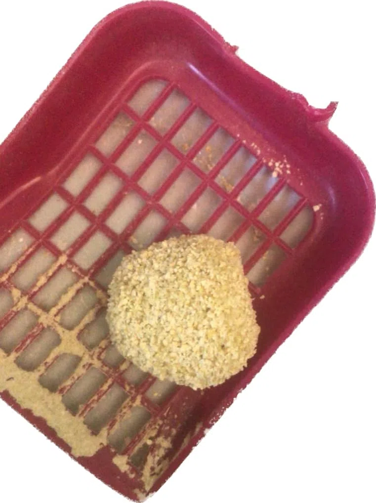 Ecolettiera, arena para gatos, arena higiénica 100% natural a base de maíz, dura mucho tiempo, superaglomerante, antibacteriana y elimina olores, fabricada en Italia, 5 paquetes de 2,85 kg