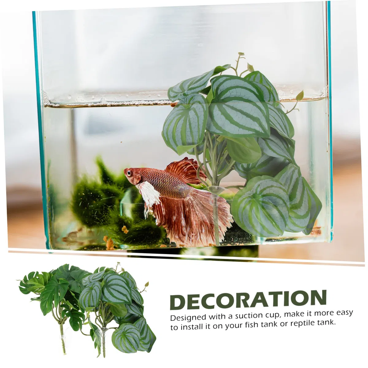 DOITOOL 4piezas Artificiales De Succión para Reptiles Decoraciones Naturales para Terrarios y Acuarios Simulación De Lifelike