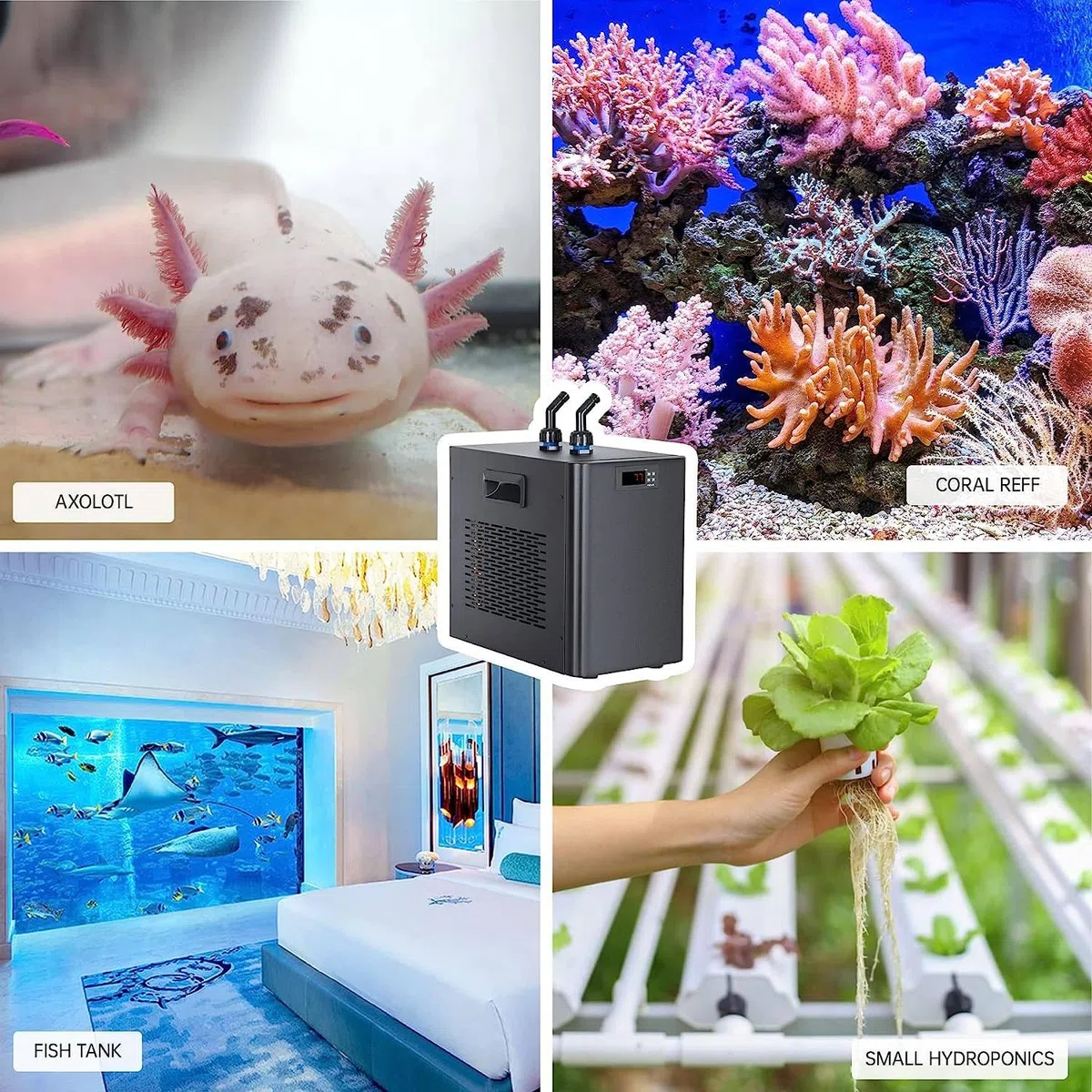 Enfriador De Agua De Tanque De Peces 160L / 300L / 500L,Termostato De Máquina De Enfriamiento De Agua De Tanque De Peces Digital De Acuario para Calefacción De Refrigeración A Pequ