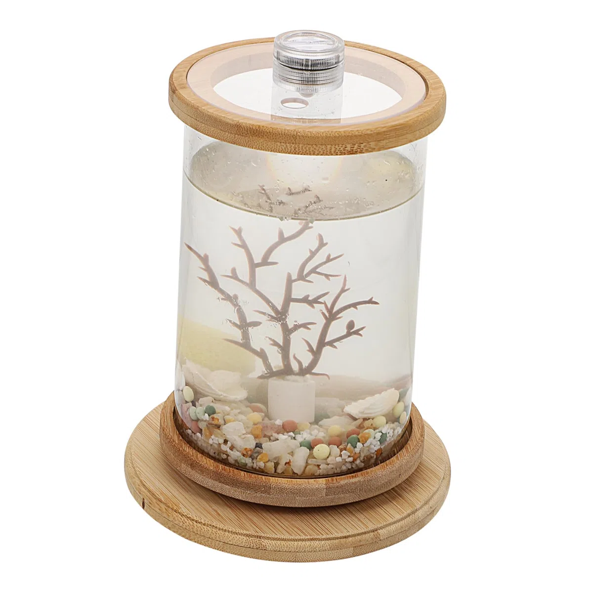 YARNOW Acuario Decorativo De Escritorio Pecera Doméstica Ecológica Accesorio De Oficina