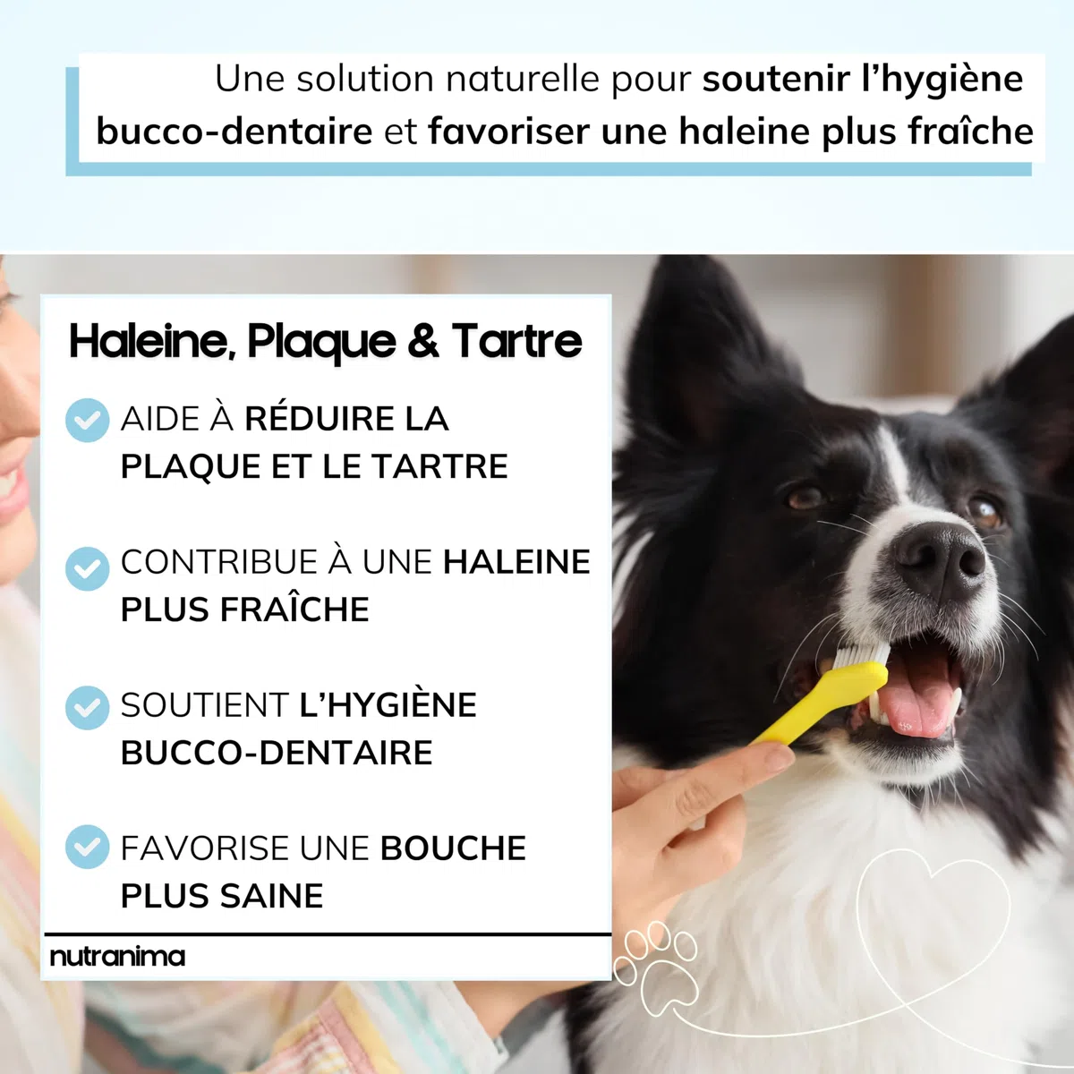 Aliento, placa y sarro para perros | Higiene oral y aliento fresco | Algas, levaduras, perejil y extracto de té verde | Suplemento dental | 60 bocados | Fórmula veterinaria francesa