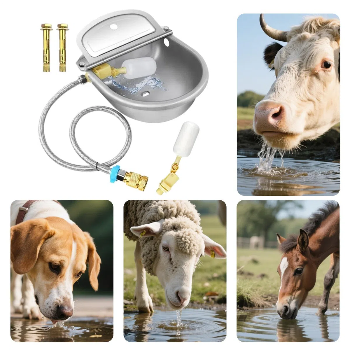 Bebederos Automáticos para Ganado Cuencos De Acero Inoxidable para Animales