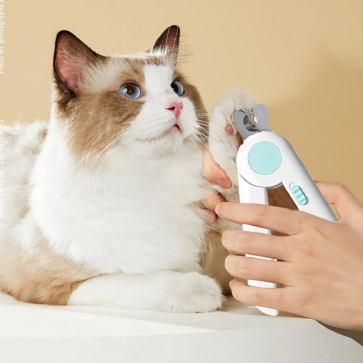 Cortauñas para Mascotas, Cortauñas for Cachorros con luz, Herramienta de Aseo suavizante, for Animales pequeños, Conejos, pájaros, Gatitos, Uso doméstico en Interiores